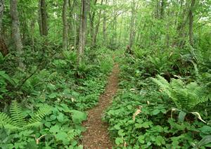 2026年最新！ホテル業界の人件費削減と効率化に成功する最適対策